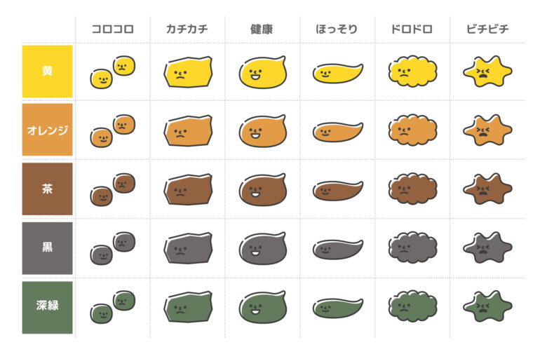 便の色や形で分かる 身体の変化